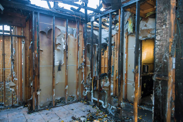 Professional Odor Removal technician working in Crestview, FL